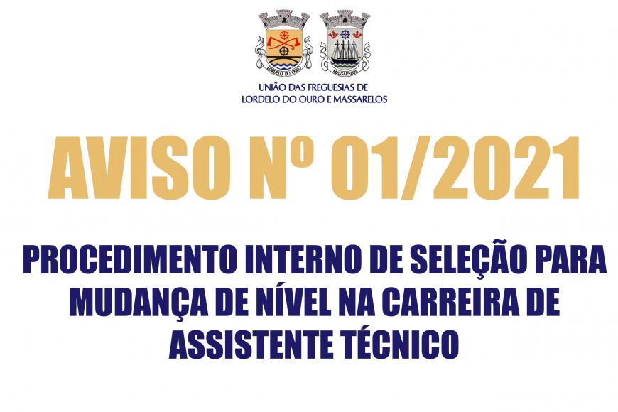 PROCEDIMENTO INTERNO DE SELEÇÃO PARA MUDANÇA DE NÍVEL NA CARREIRA DE ASSISTENTE TÉCNICO