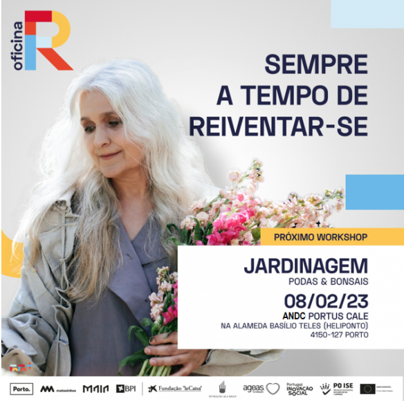 A oportunidade de aprender com o talento 55+!